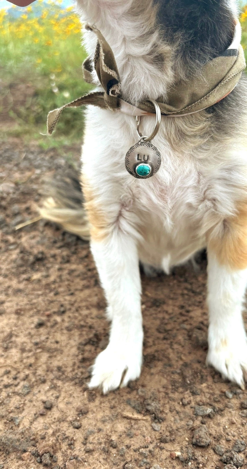 ✙ Turquoise Sterling Silver Dog Tag
