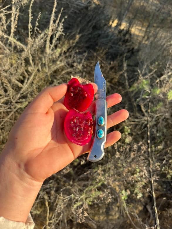 ✙ Turquoise Folding Knife