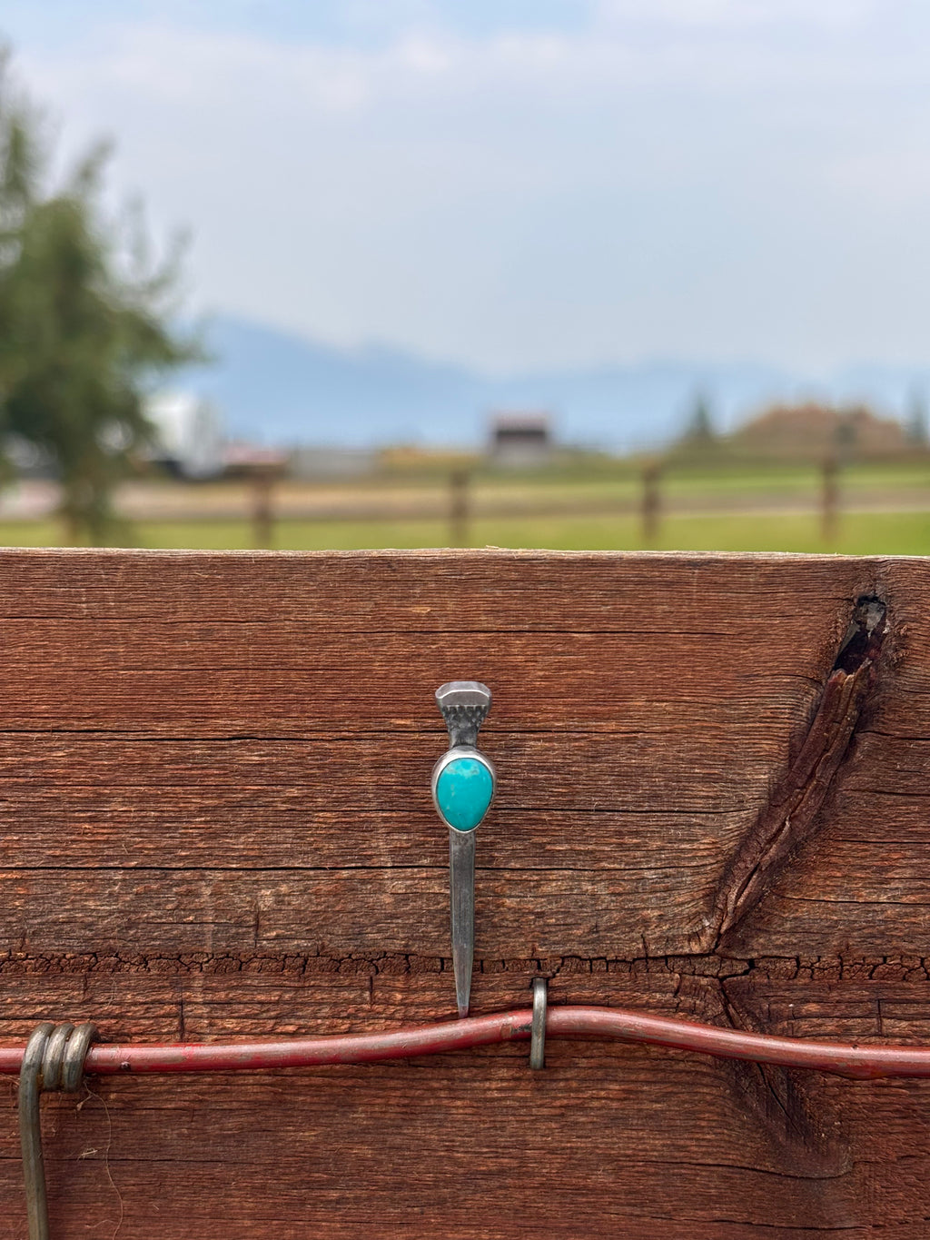 Turquoise Horseshoe Nail Hat Pin
