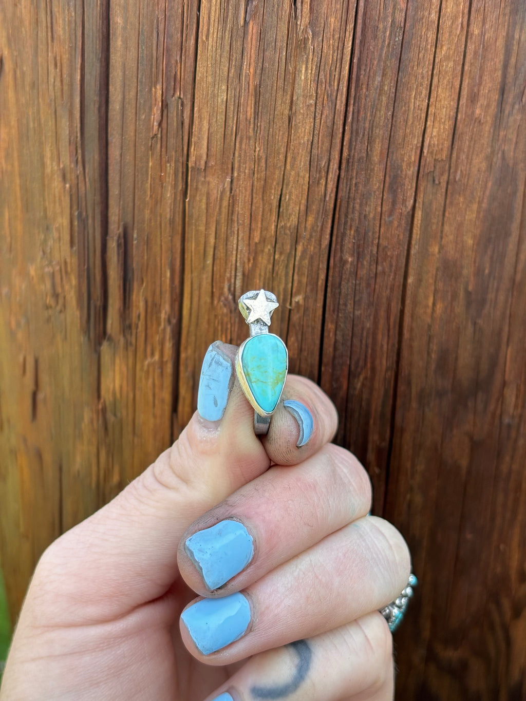 Horseshoe Nail Brim Clip